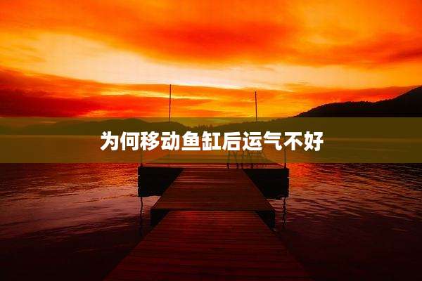 为何移动鱼缸后运气不好