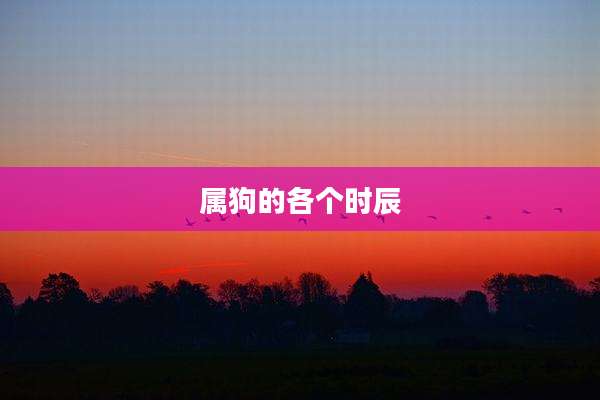 属狗的各个时辰
