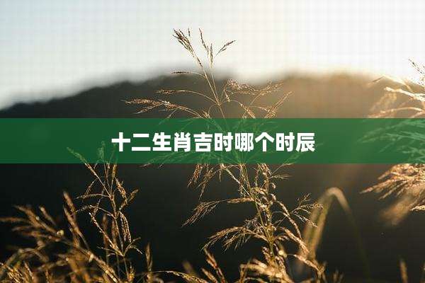 十二生肖吉时哪个时辰