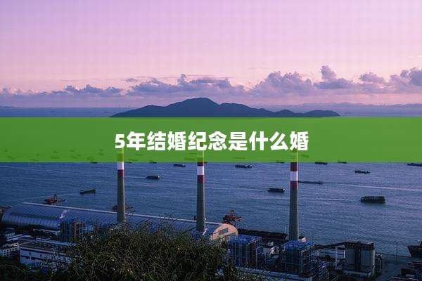 5年结婚纪念是什么婚