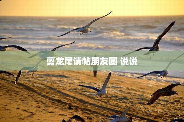 剪龙尾请帖朋友圈 说说