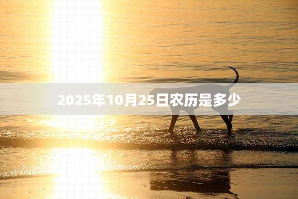 2025年10月25日农历是多少