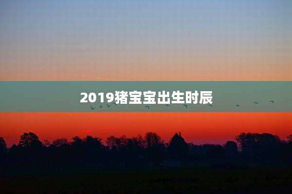 2019猪宝宝出生时辰