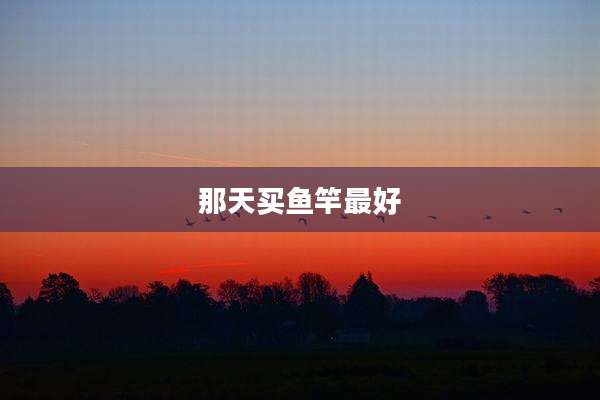 那天买鱼竿最好