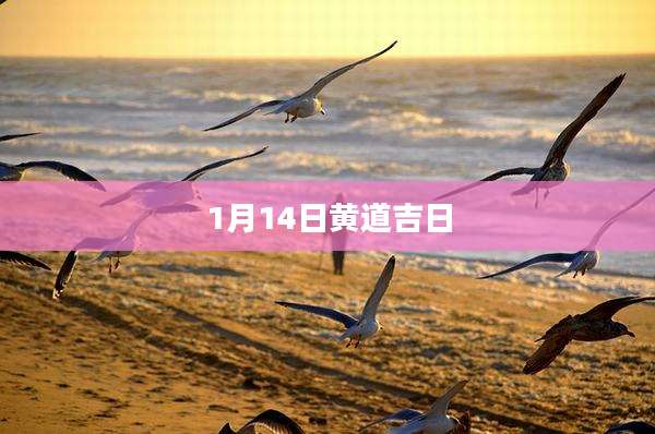1月14日黄道吉日