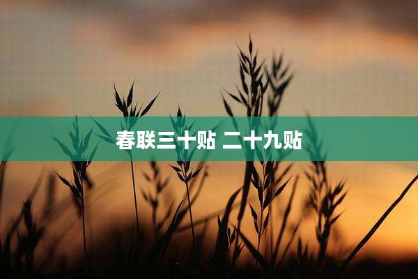 春联三十贴 二十九贴