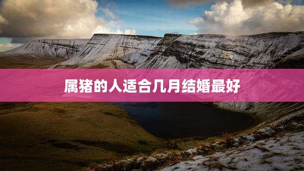 属猪的人适合几月结婚最好