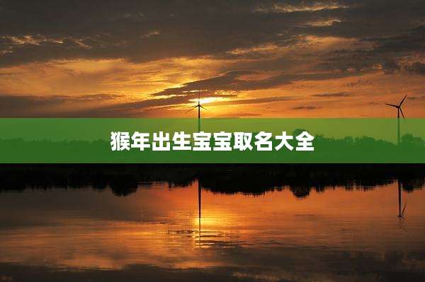 猴年出生宝宝取名大全