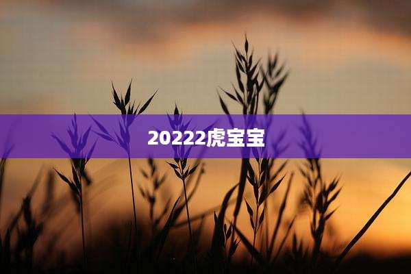 20222虎宝宝
