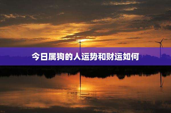 今日属狗的人运势和财运如何