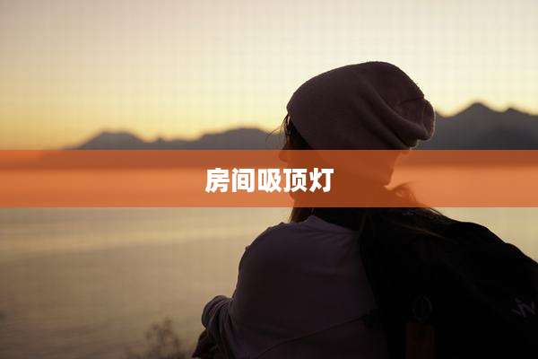 房间吸顶灯