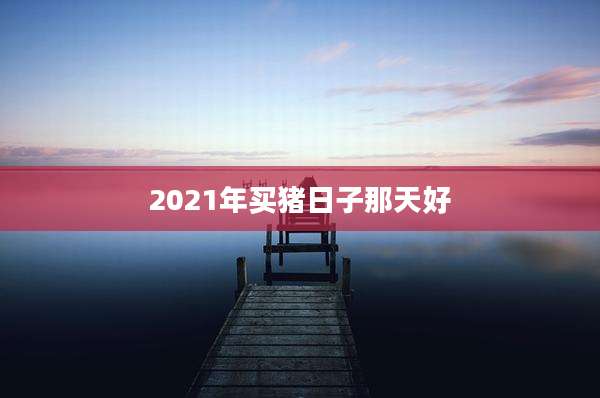 2021年买猪日子那天好