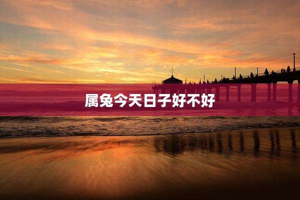 属兔今天日子好不好