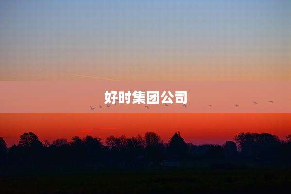 好时集团公司