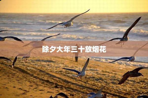 除夕大年三十放烟花