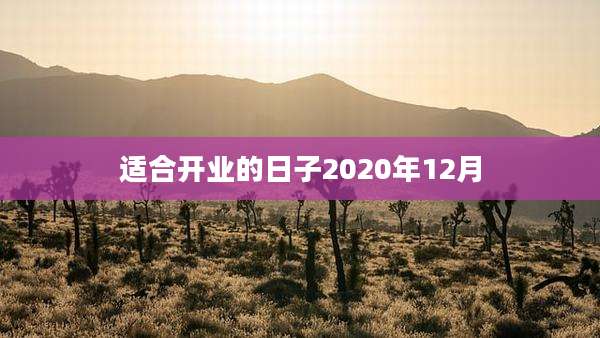 适合开业的日子2020年12月