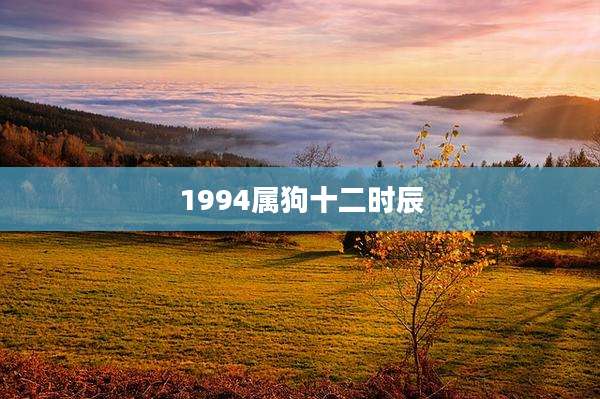 1994属狗十二时辰