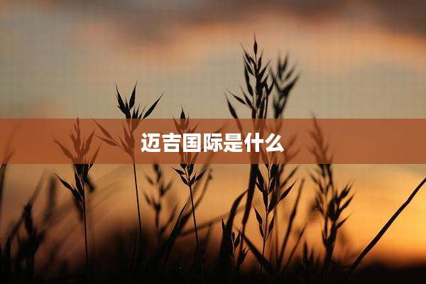 迈吉国际是什么