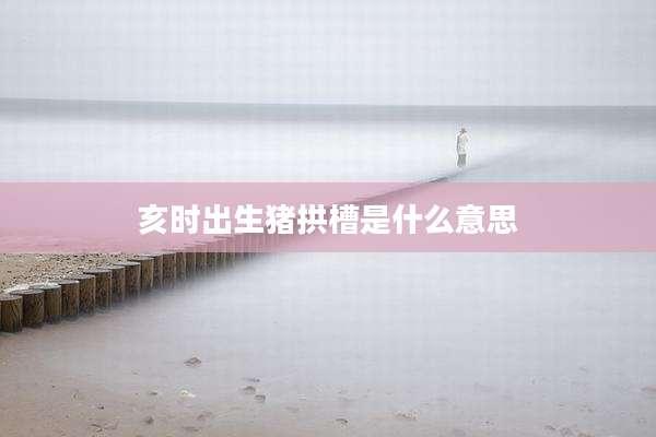 亥时出生猪拱槽是什么意思