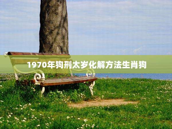 1970年狗刑太岁化解方法生肖狗