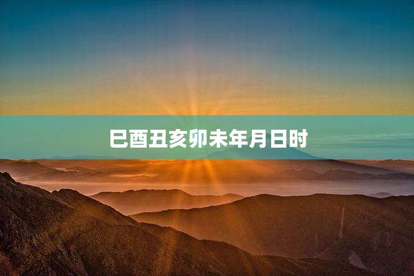 巳酉丑亥卯未年月日时