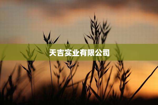 天吉实业有限公司