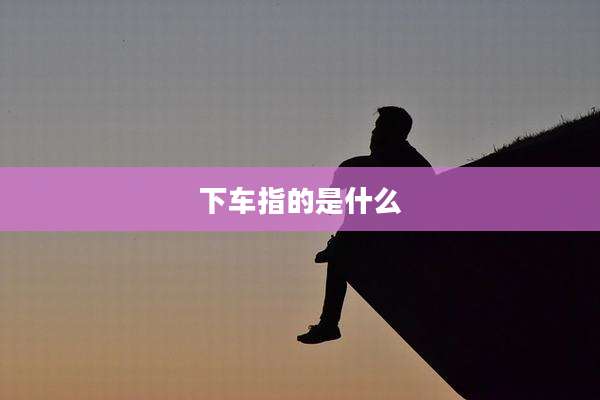 下车指的是什么