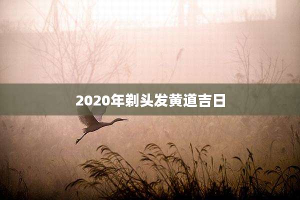 2020年剃头发黄道吉日
