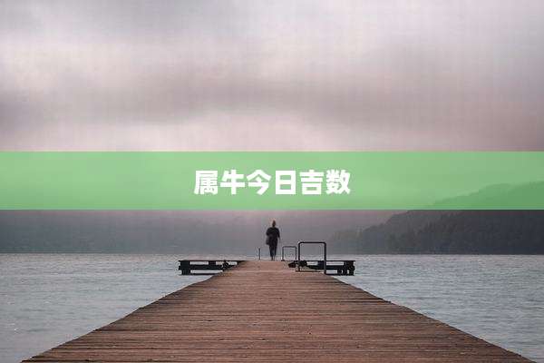 属牛今日吉数