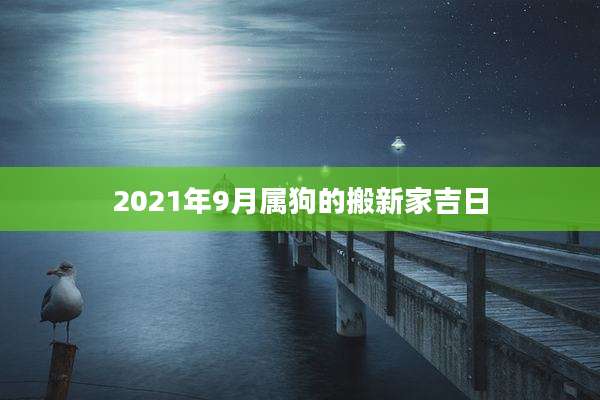 2021年9月属狗的搬新家吉日