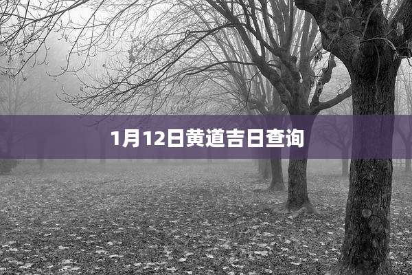 1月12日黄道吉日查询