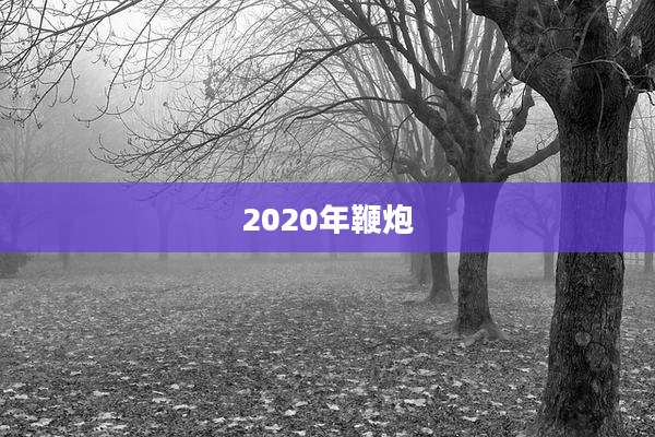 2020年鞭炮