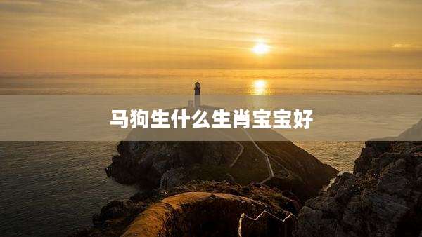 马狗生什么生肖宝宝好
