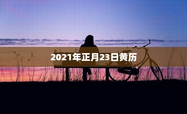 2021年正月23日黄历