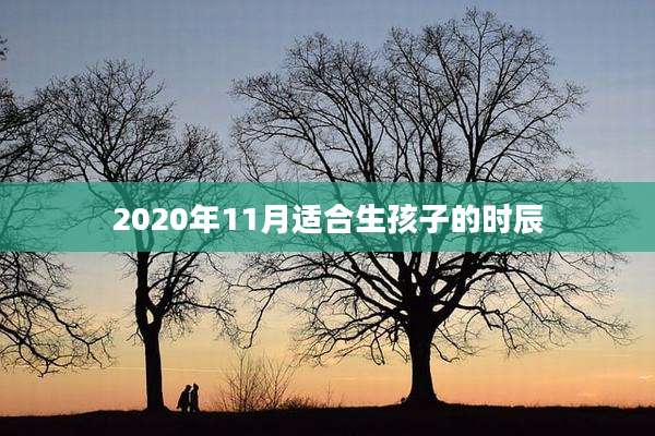 2020年11月适合生孩子的时辰