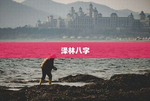 泽林八字