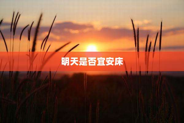 明天是否宜安床