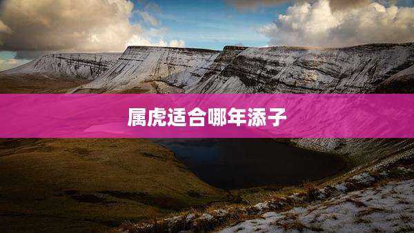 属虎适合哪年添子