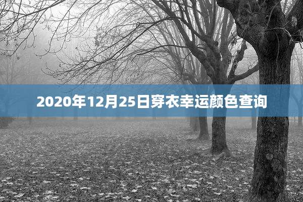 2020年12月25日穿衣幸运颜色查询