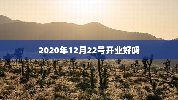 2020年12月22号开业好吗