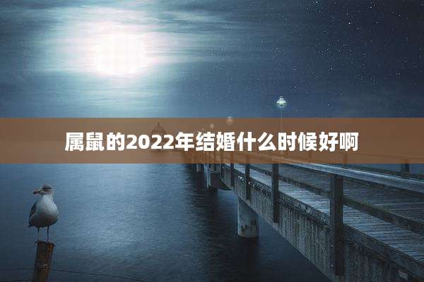 属鼠的2022年结婚什么时候好啊