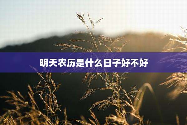 明天农历是什么日子好不好