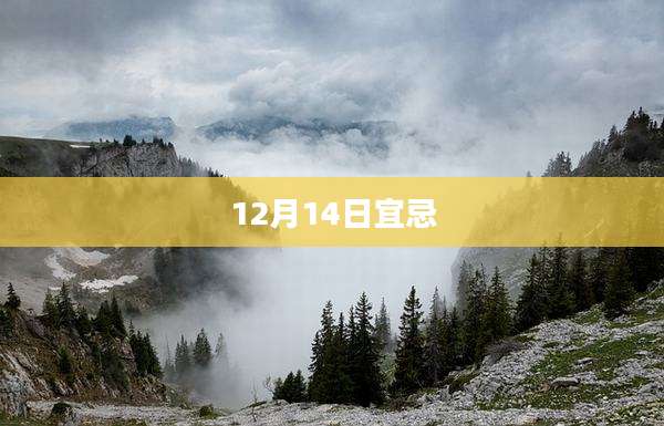 12月14日宜忌