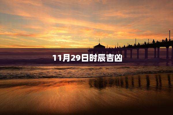 11月29日时辰吉凶