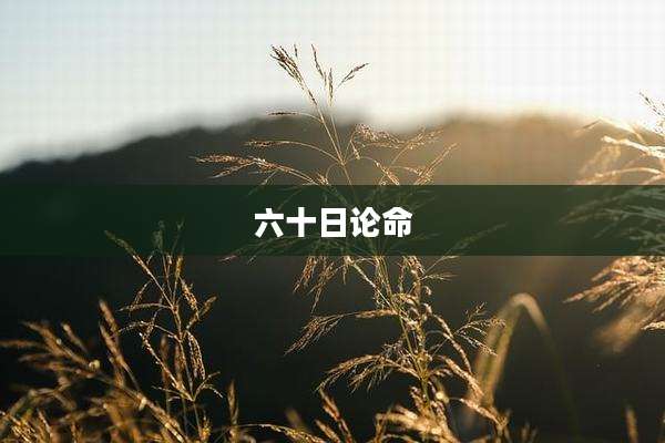 六十日论命