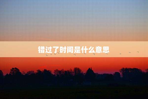 错过了时间是什么意思