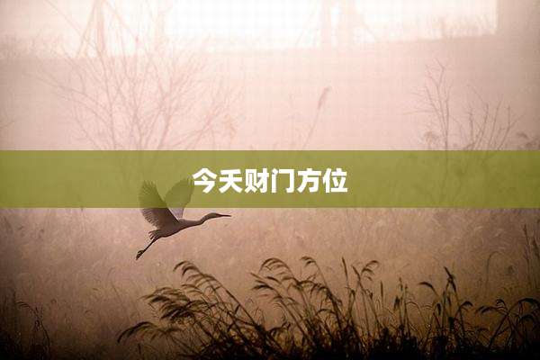 今夭财门方位