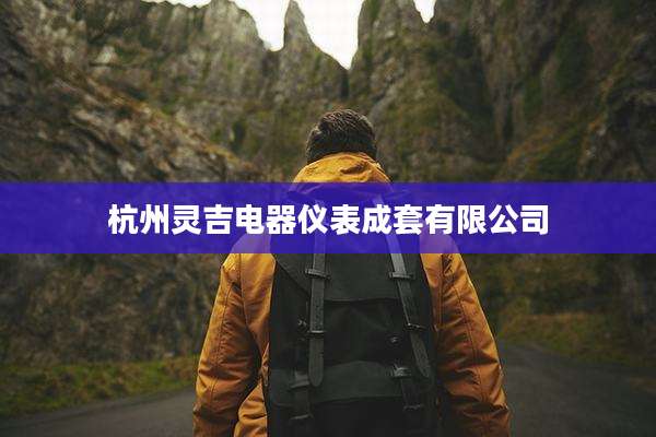 杭州灵吉电器仪表成套有限公司
