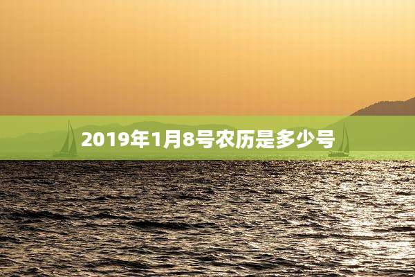 2019年1月8号农历是多少号