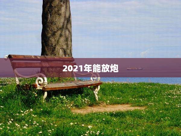 2021年能放炮